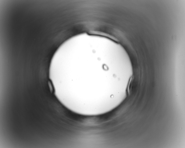 X0000088150505200706041357