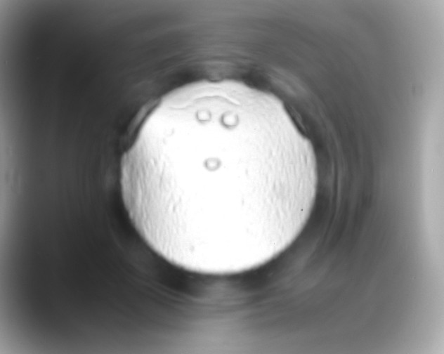 X0000088150507200706041357