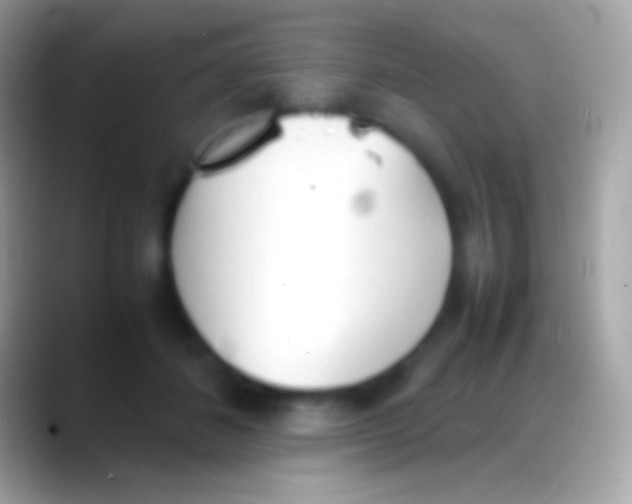 X0000088150508200706041357