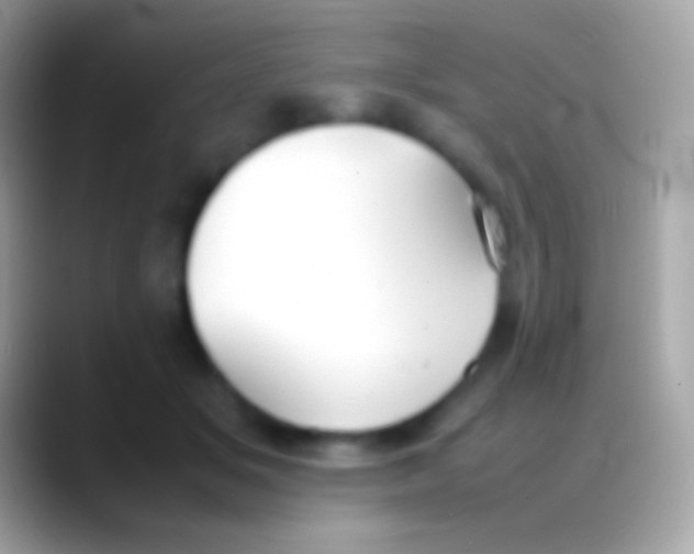 X0000088150509200706041357