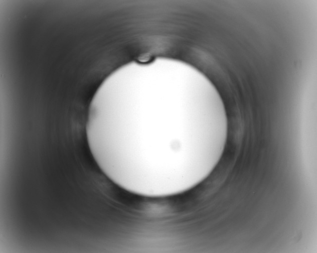 X0000088150510200706041357