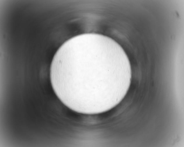 X0000088150511200706041357