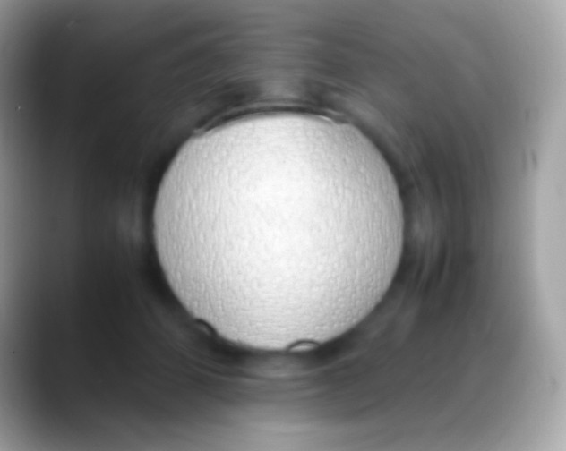 X0000088150512200706041357