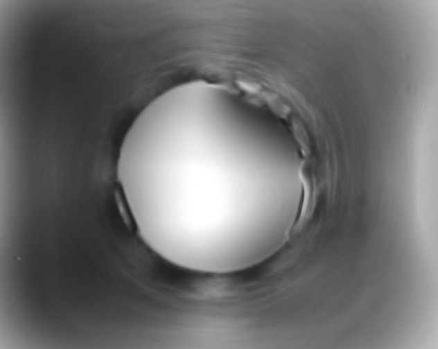 X0000088150513200706041357