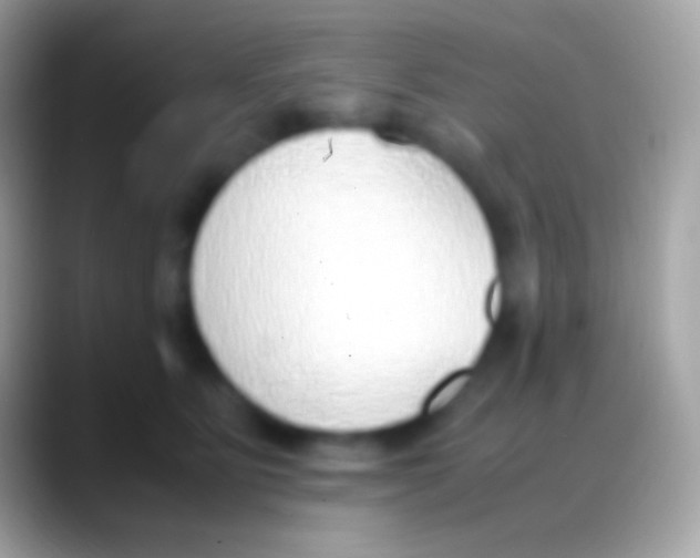 X0000088150515200706041357