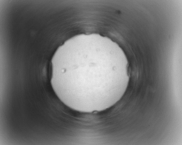 X0000088150516200706041357