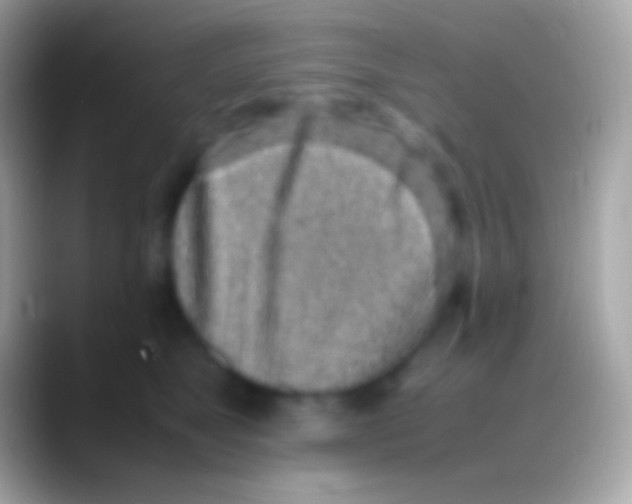 X0000088150517200706041357