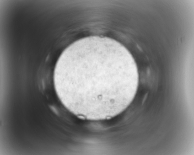 X0000088150519200706041357