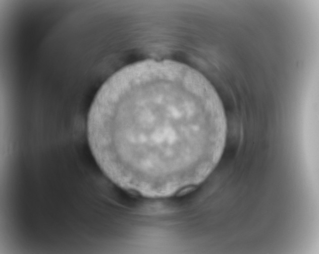 X0000088150523200706041357