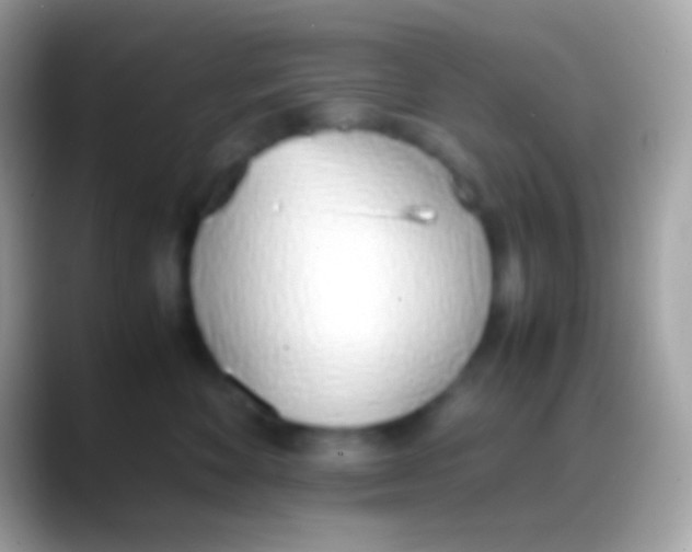 X0000088150524200706041357