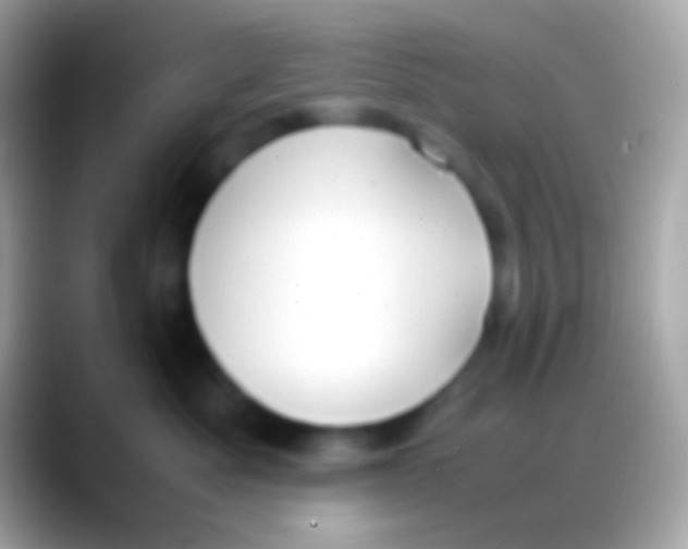 X0000088150525200706041357