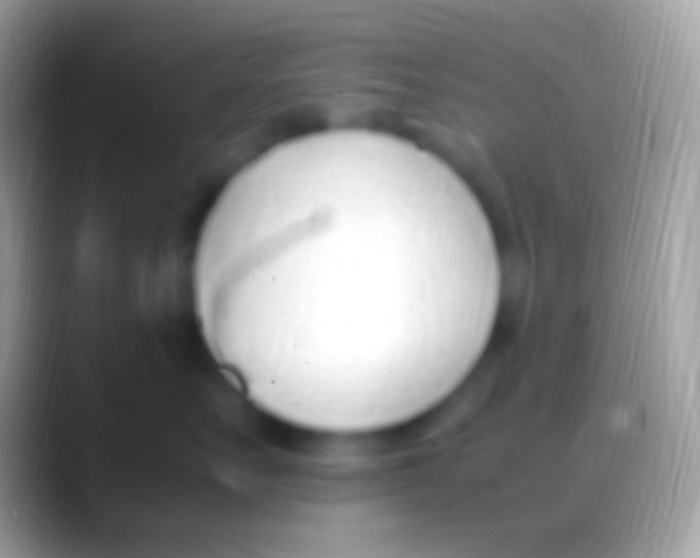 X0000088150527200706041357