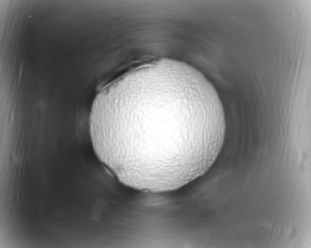 X0000088150528200706041357