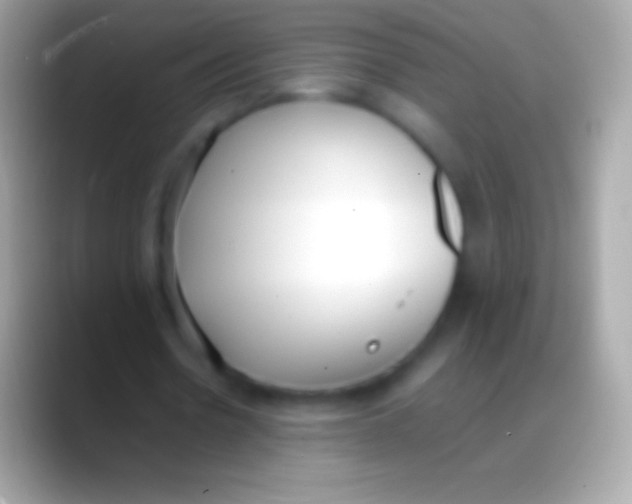 X0000088150530200706041356