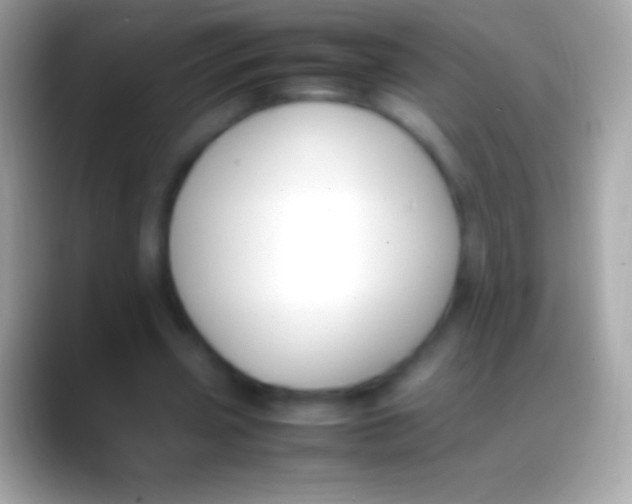 X0000088150533200706041356