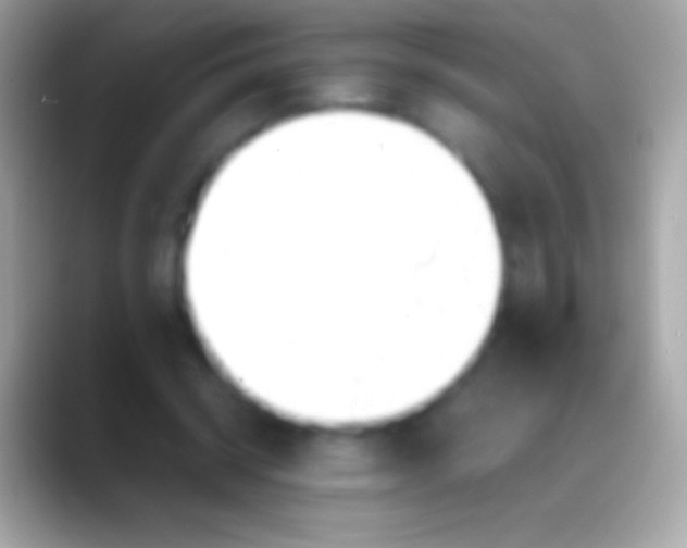 X0000088150534200706041356