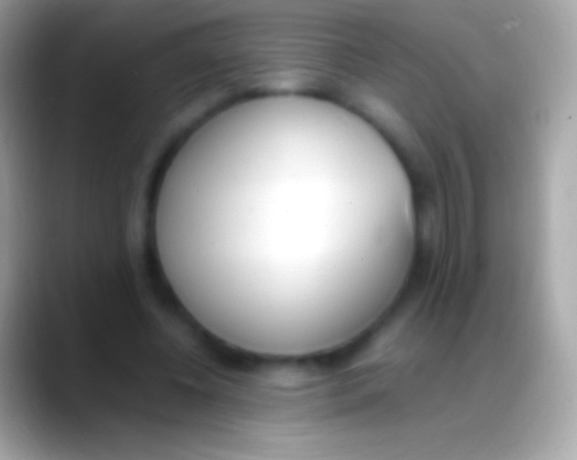 X0000088150540200706041356