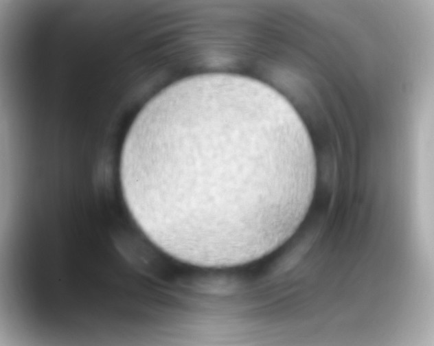 X0000088150542200706041356