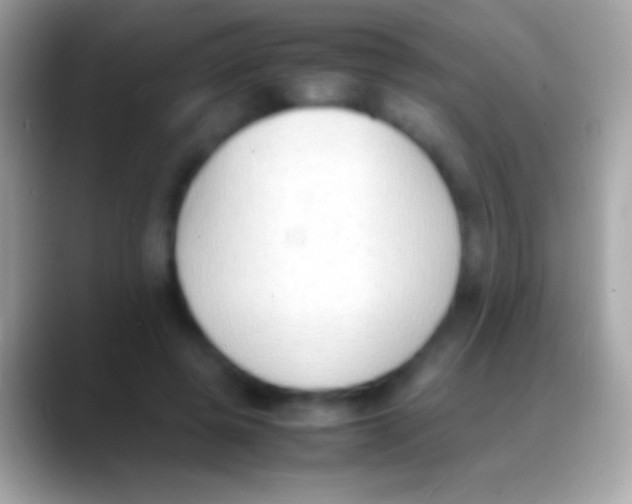 X0000088150545200706041356