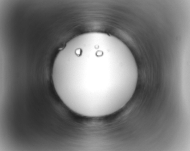 X0000088150546200706041357