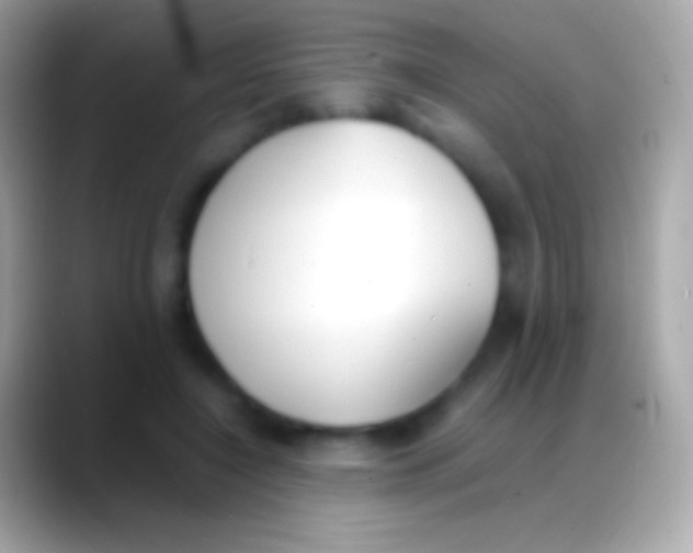 X0000088150548200706041357