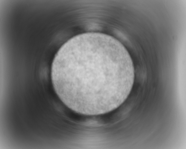 X0000088150550200706041357