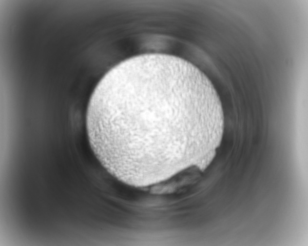 X0000088150551200706041357