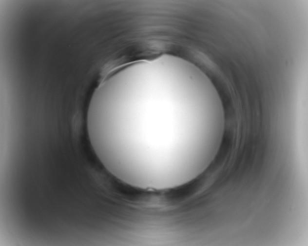 X0000088150552200706041357