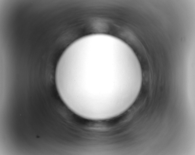 X0000088150553200706041357