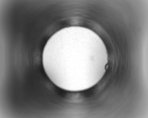 X0000088150554200706041357