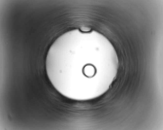 X0000088150556200706041357