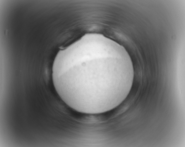 X0000088150558200706041357