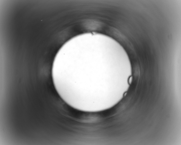 X0000088150559200706041357