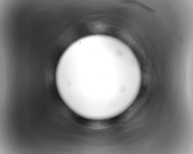 X0000088150561200706041357