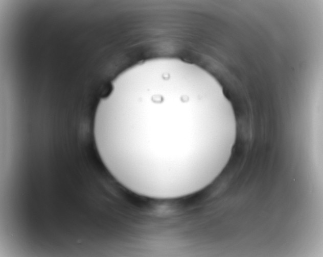 X0000088150564200706041357