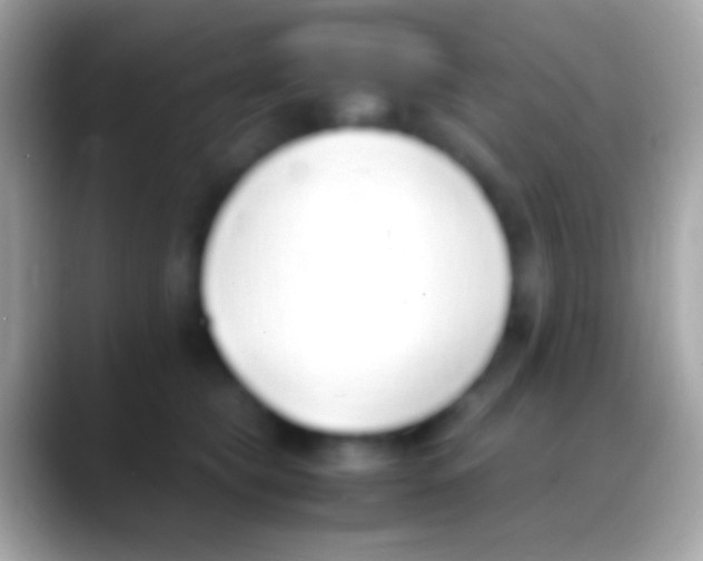 X0000088150565200706041357