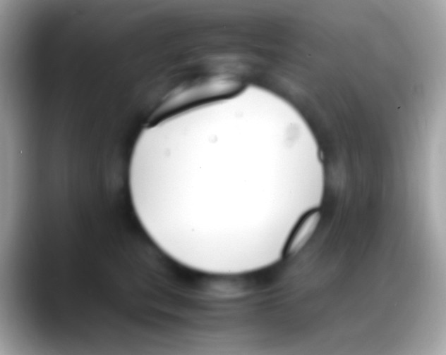 X0000088150567200706041357