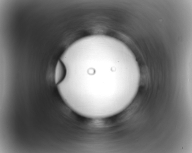 X0000088150573200706041357