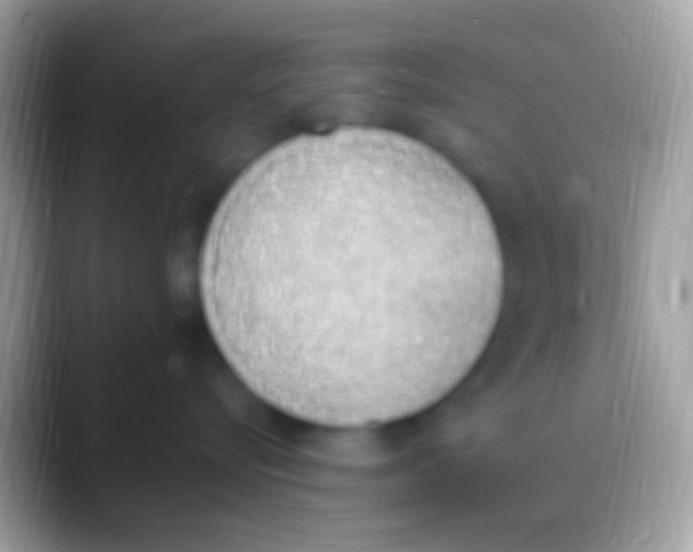 X0000088150576200706041357