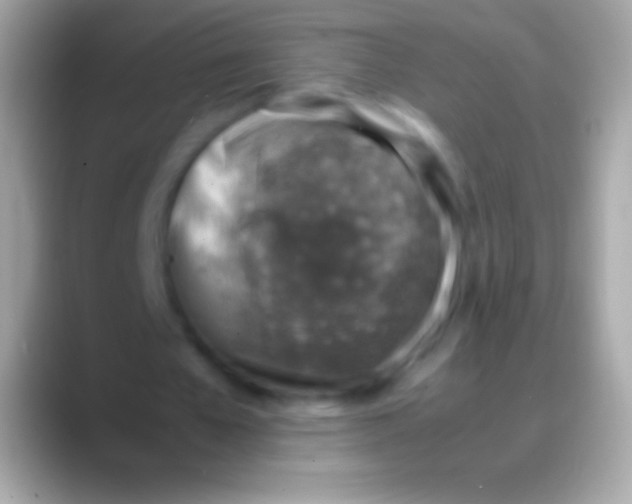 X0000088150577200706041356