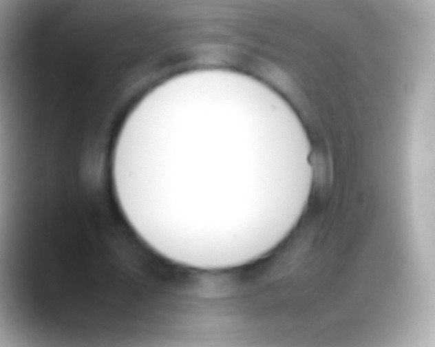 X0000088150579200706041356