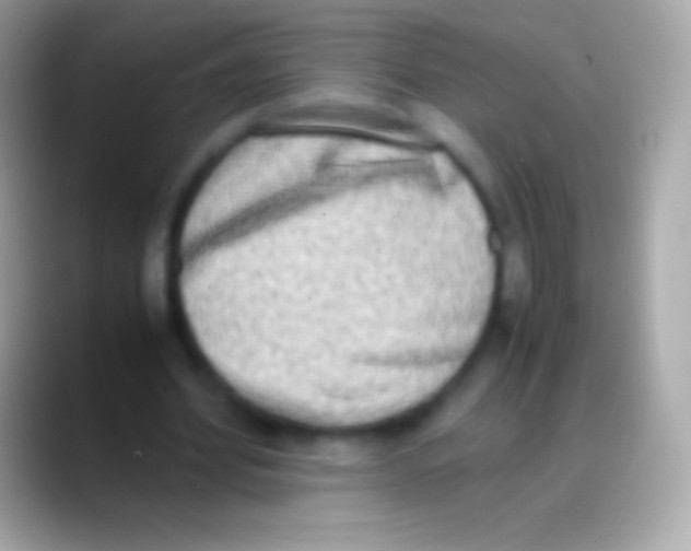 X0000088150580200706041356