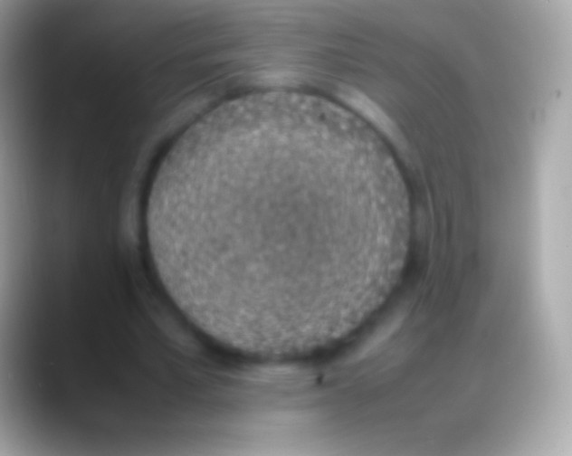 X0000088150581200706041356