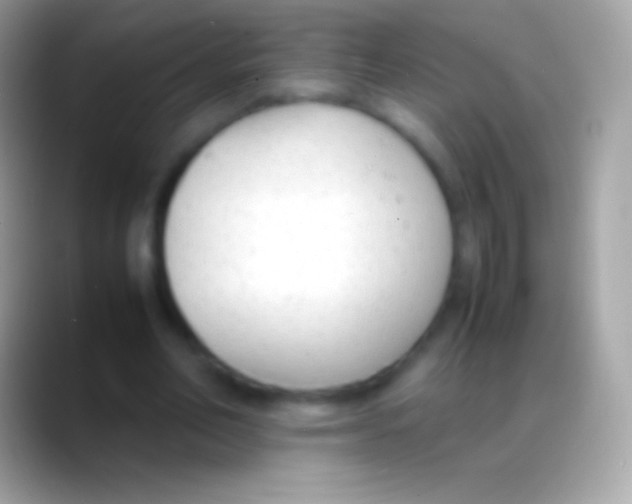 X0000088150582200706041356