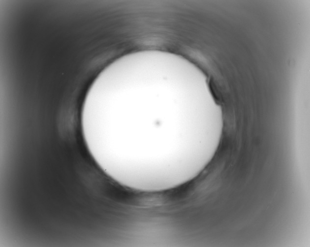 X0000088150583200706041356