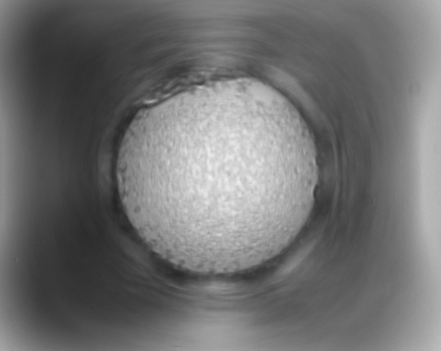 X0000088150585200706041356