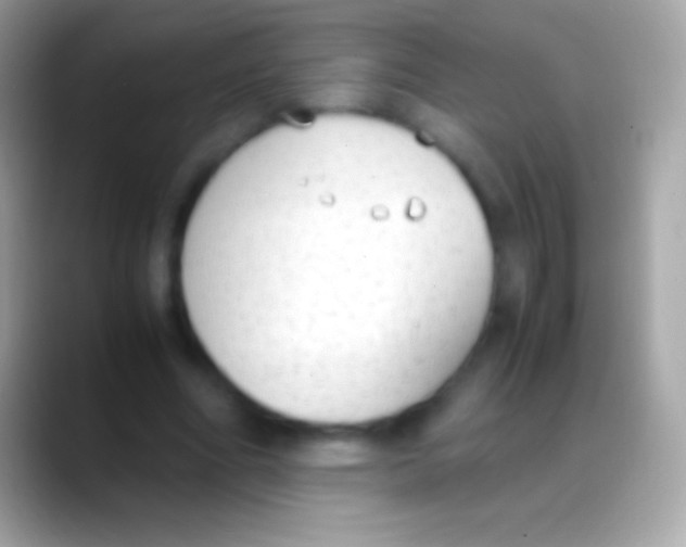 X0000088150586200706041356