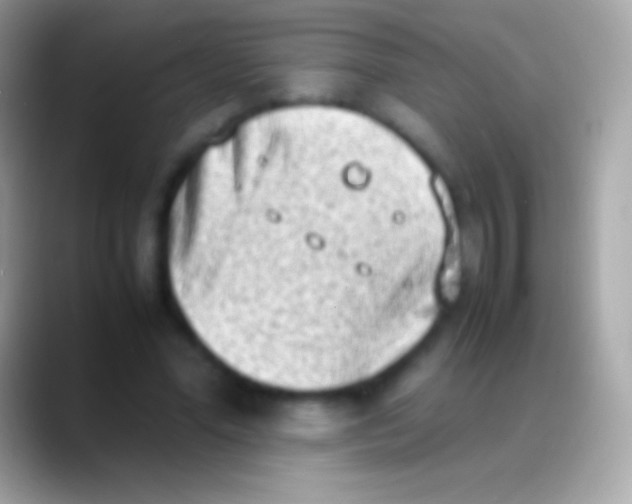 X0000088150588200706041356