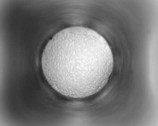 X0000088150589200706041356