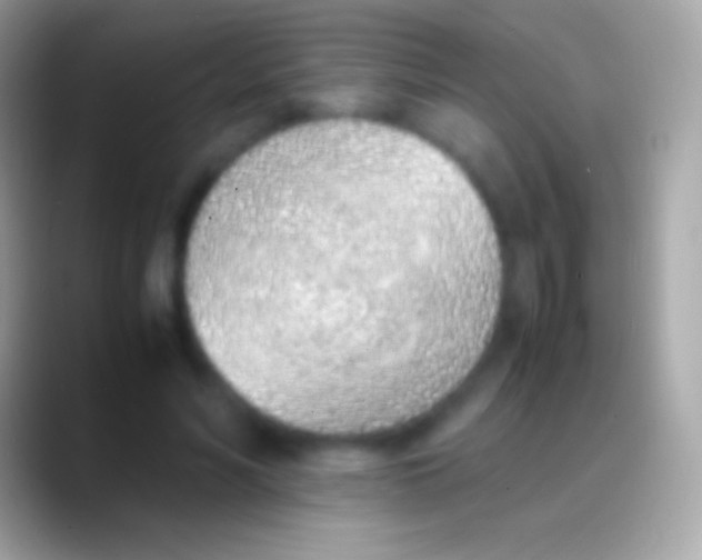 X0000088150590200706041356